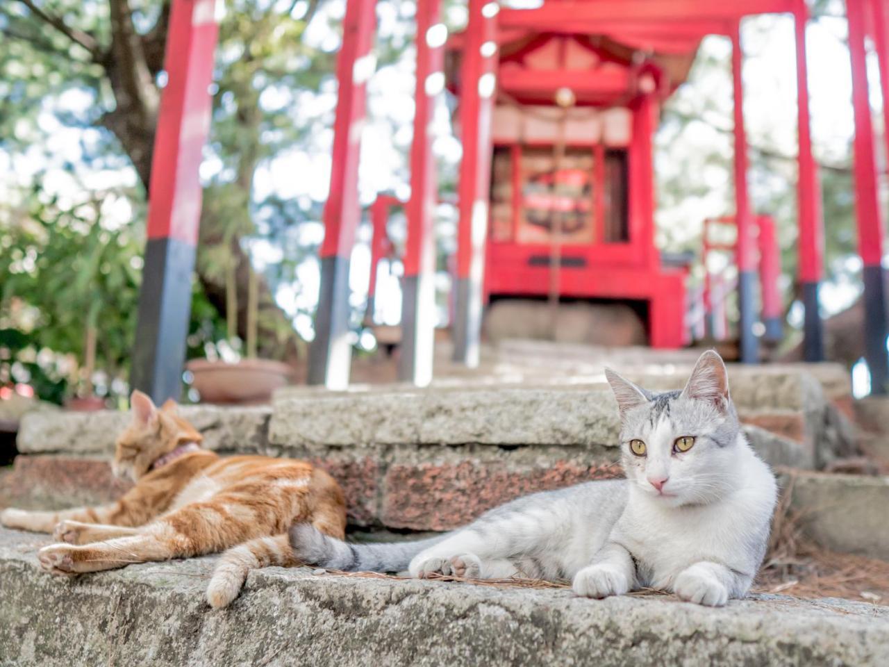 山城天嵐庭園民宿 ผูหลี่ ภายนอก รูปภาพ